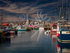 St. John's Harbour